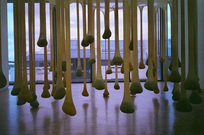 the sac bares it all